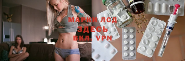 spice Аша